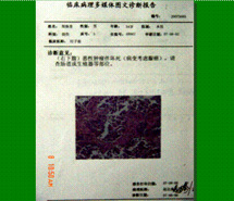 九五至尊VI-老品牌值得信赖!