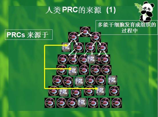 九五至尊VI-老品牌值得信赖!