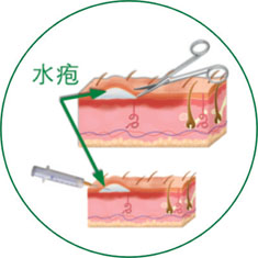 九五至尊VI-老品牌值得信赖!